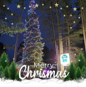 Meet your Posher, Tim